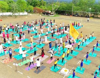 Yoga Day Celebration