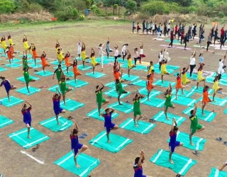 Yoga Day Celebration